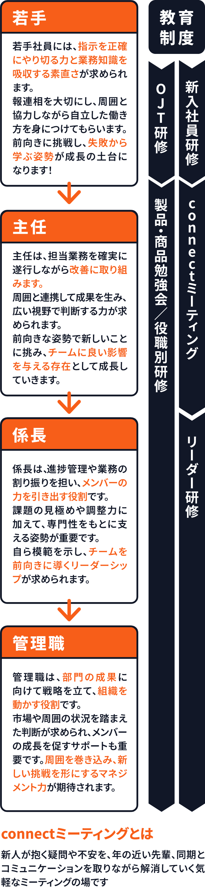 【若手】基礎を固め、成長の一歩へ【主任】自走しチームを動かす【係長】お手本となりチームを導く【管理職】会社・組織をけん引する